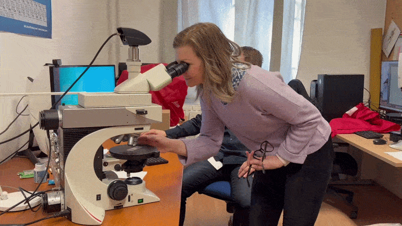 Vizsgálat mikroszkóppal