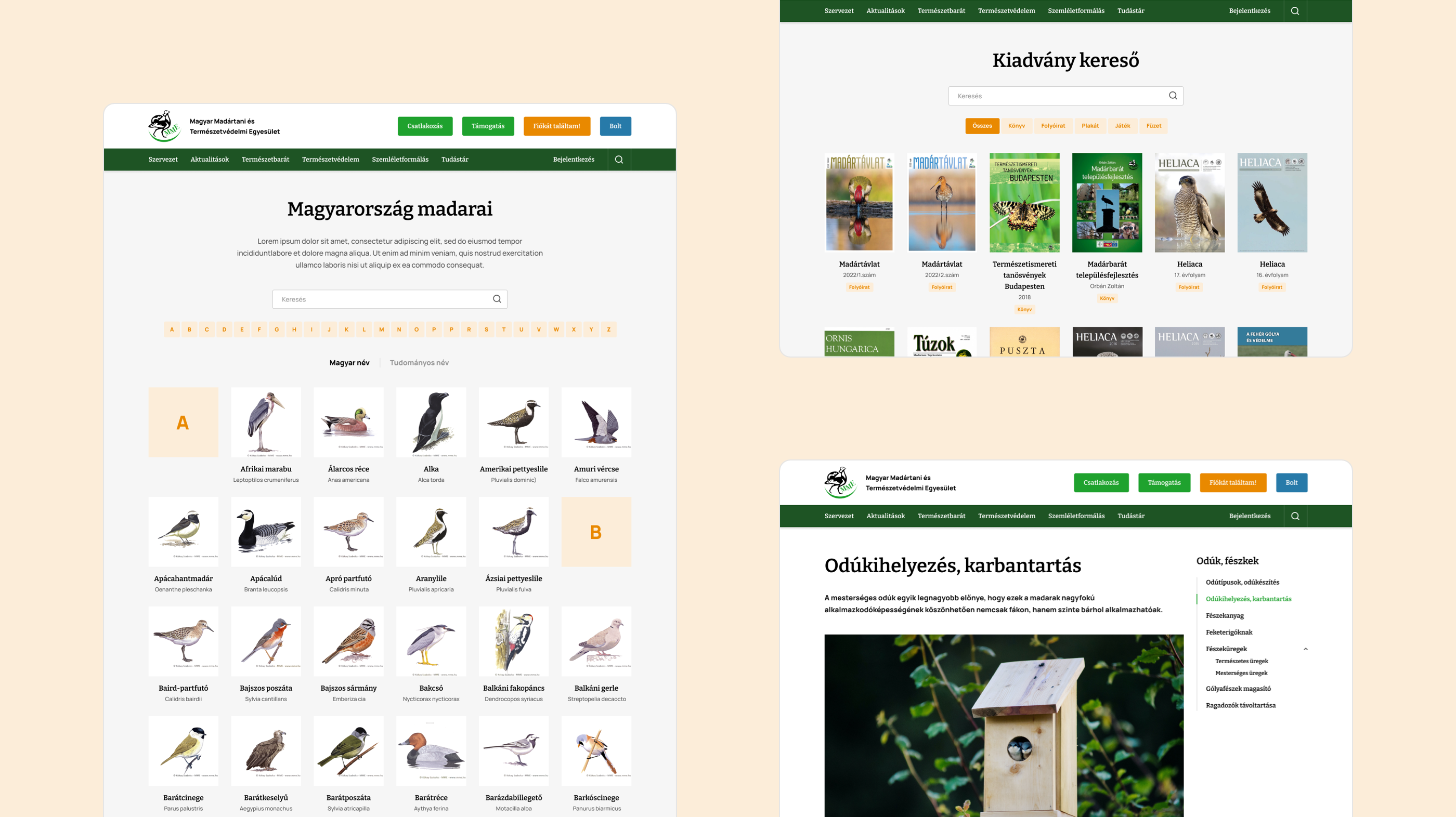 site screens