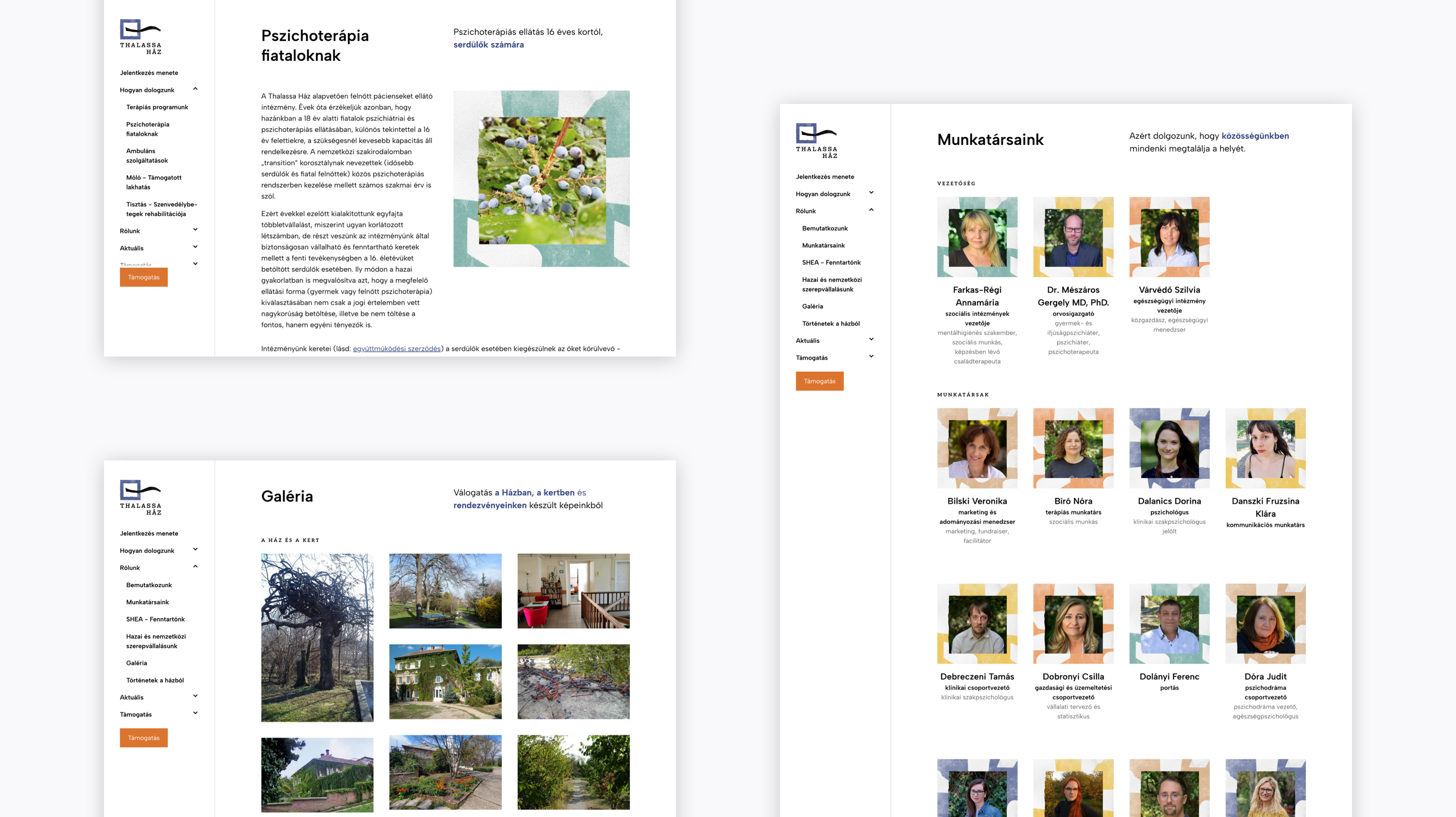 site_printscreens