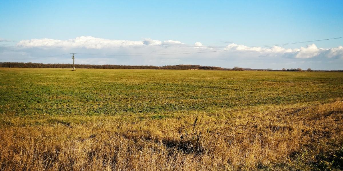Hortobágy